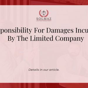 RESPONSIBILITY FOR DAMAGES INCURRED BY THE LIMITED COMPANY